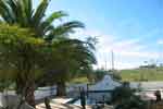 algarve villa - pool and palm trees